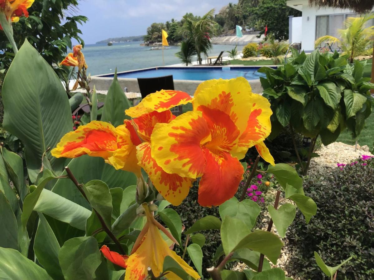 Bamboobeachvilla2 Ac New Oceanfront Pool Sunsetview Garden Kitchen Satellite Starlink Wi-Fi Dimiao 外观 照片
